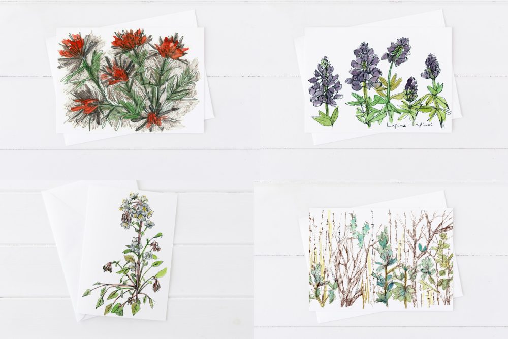 Desert Wildflowers Indian Paintbrush Lupines Primrose Blank Card Set