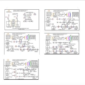 Chemistry; Chapter 6- section 3 of 3