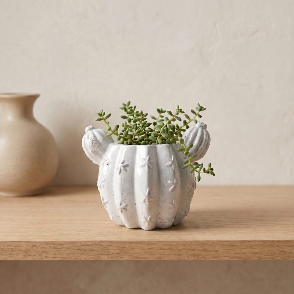 Barrel Cactus Planter, Gypsum White 3.5″
