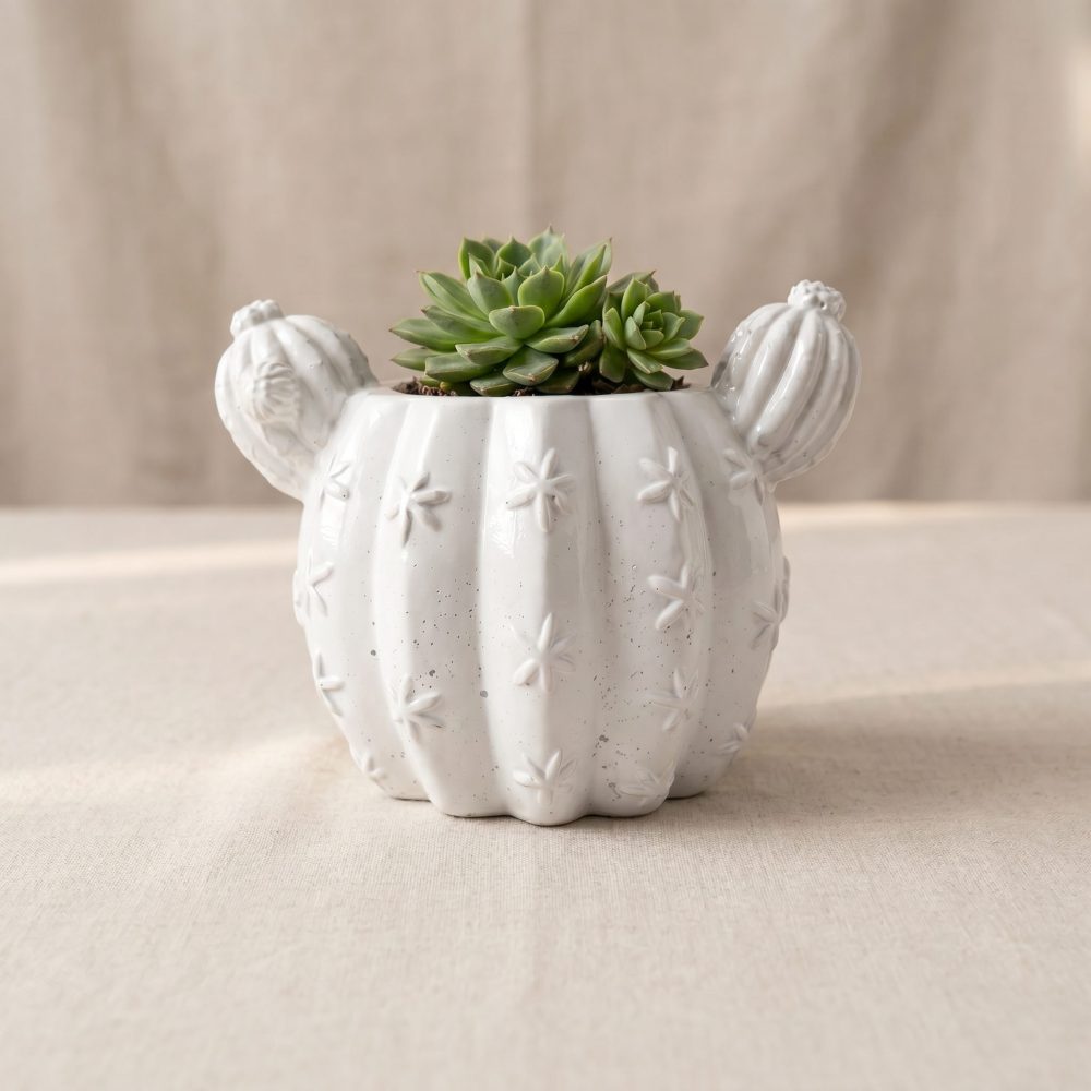 Barrel Cactus Planter, Gypsum White 3.5″