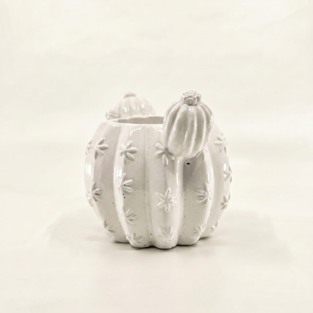 Barrel Cactus Planter, Gypsum White 3.5″