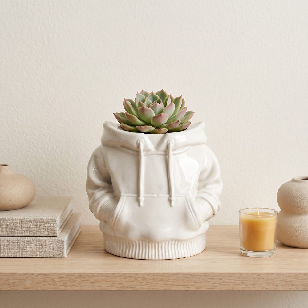 Hoodie Planter, Gypsum White 4″