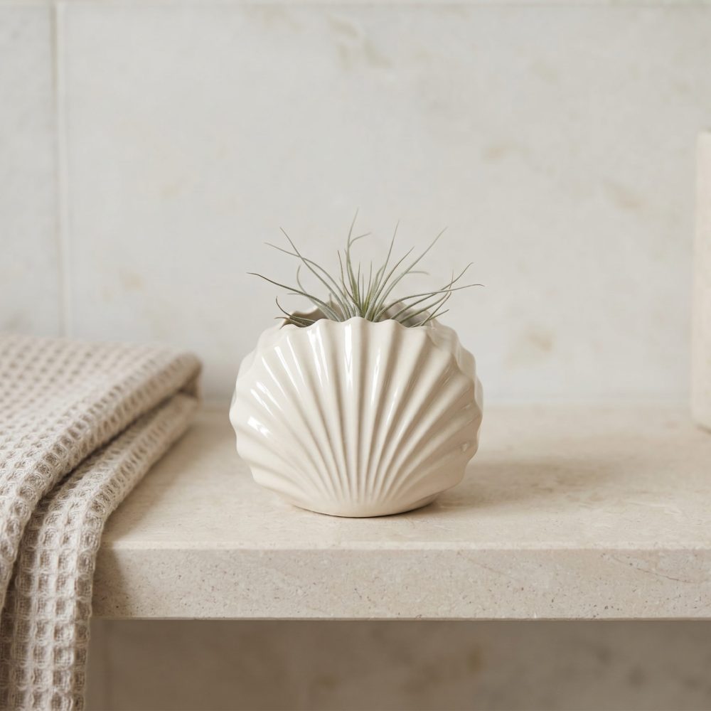 Mini Clam Shell Planter, Gypsum White 3″