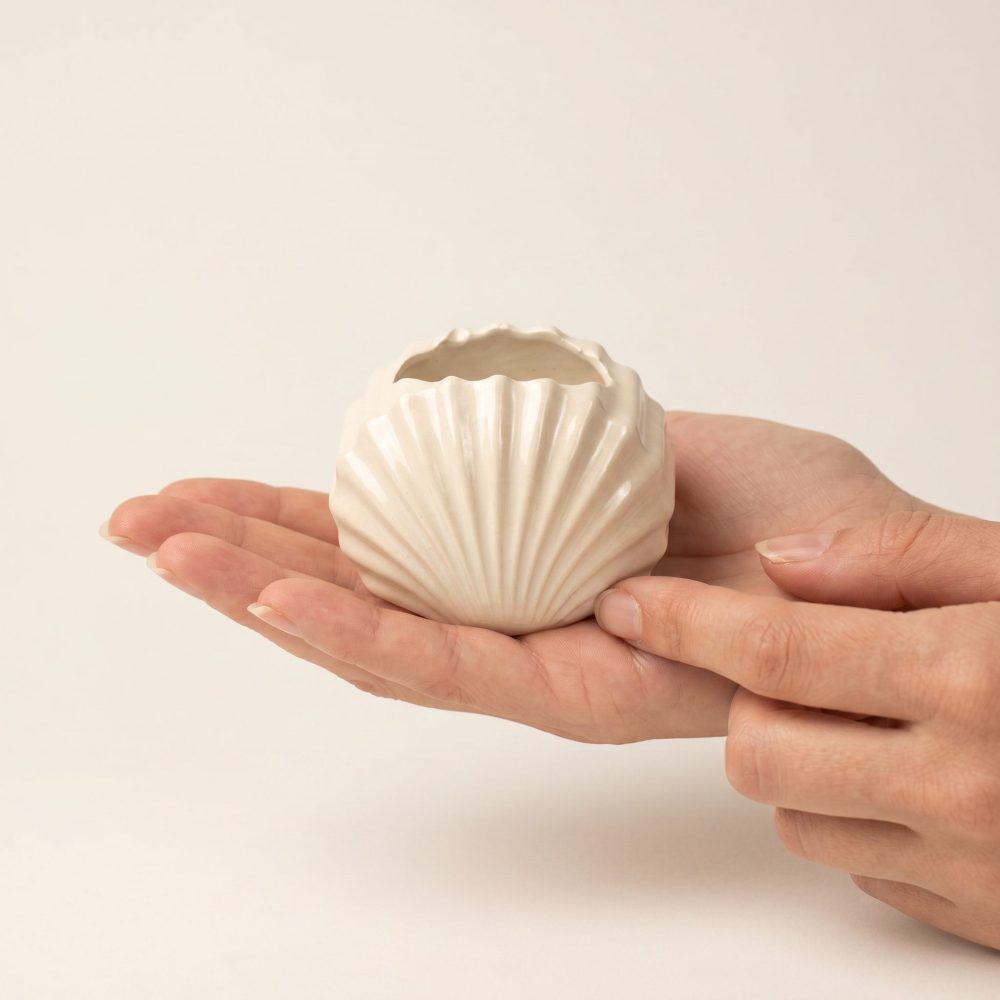 Mini Clam Shell Planter, Gypsum White 3″