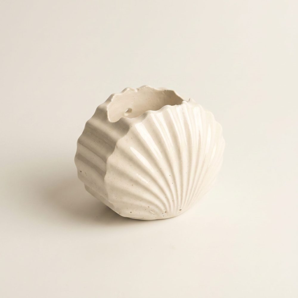 Mini Clam Shell Planter, Gypsum White 3″