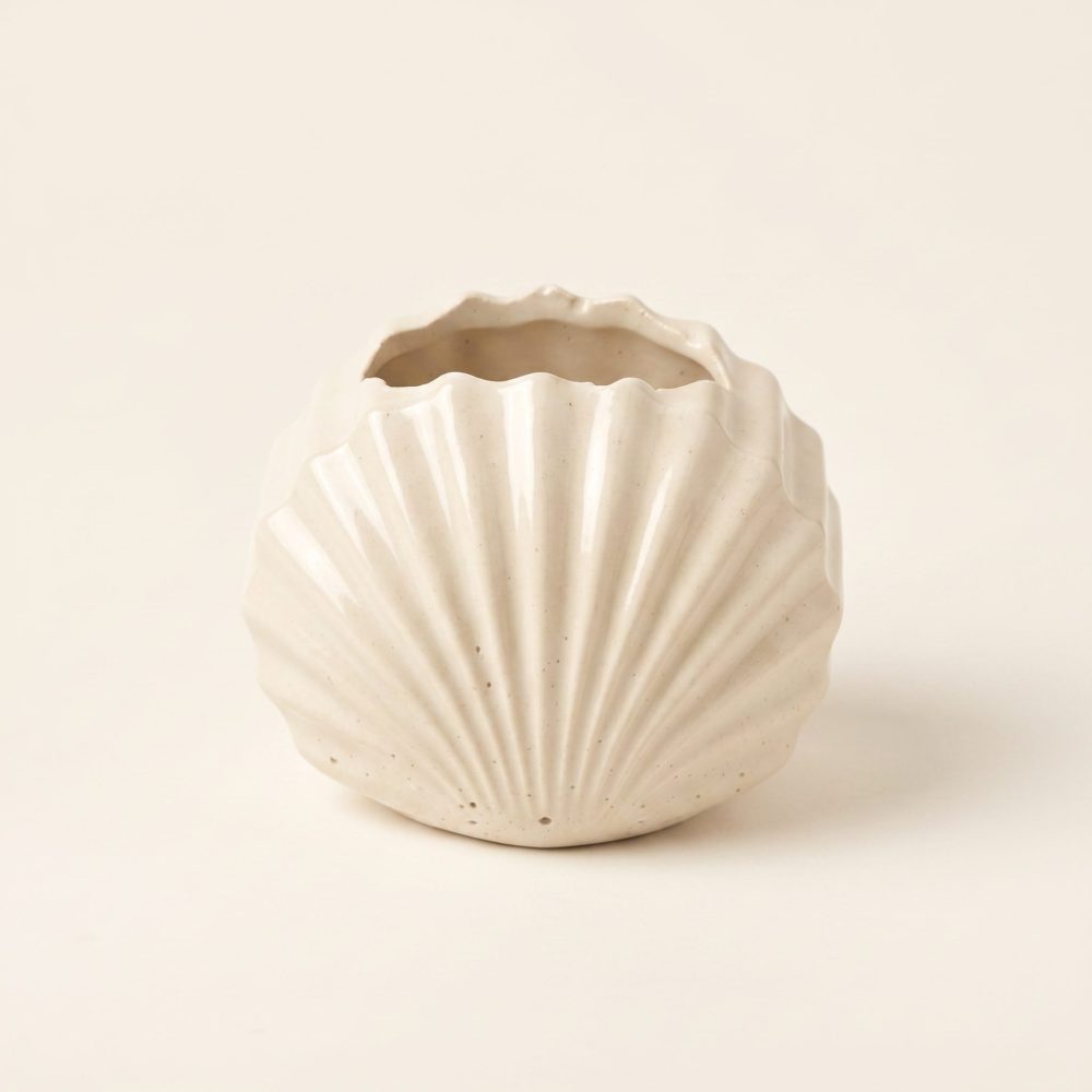 Mini Clam Shell Planter, Gypsum White 3″