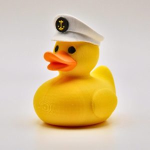 Cruise Duck