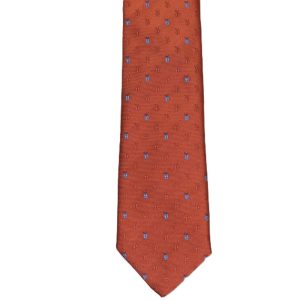 Burnt orange necktie with light blue lady bugs
