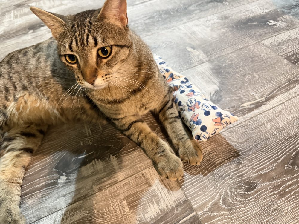 Farm Catnip Kickers – Handmade Cat Toys